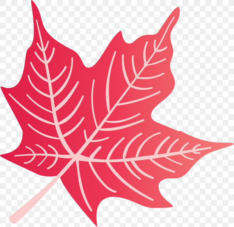 Autumn Leaf Colourful Foliage Colorful Leaves, PNG, 3000x2905px, Autumn Leaf, Biology, Colorful Leaf, Colorful Leaves, Colourful Foliage Download Free