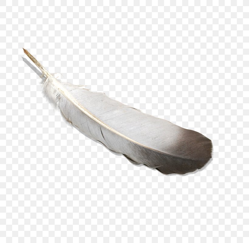 Bird Feather Quill Pen, PNG, 800x800px, Bird, Feather, Gratis, Grey, Ink Download Free