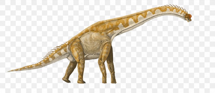 Brachiosaurus Lusotitan Giraffatitan Tyrannosaurus Apatosaurus, PNG, 1920x840px, Brachiosaurus, Abrosaurus, Animal Figure, Apatosaurus, Brachiosauridae Download Free