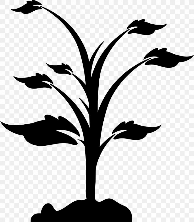 Tree, PNG, 855x980px, Tree, Artwork, Black And White, Branch, Flora Download Free