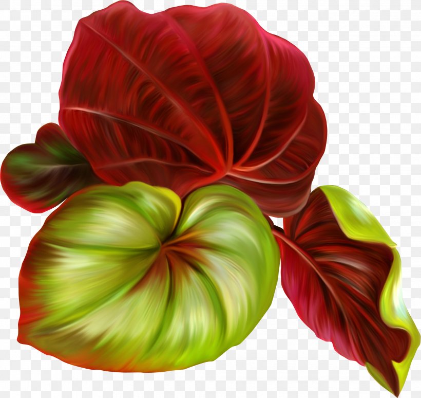 Leaf Raster Graphics Clip Art, PNG, 2038x1924px, Leaf, Autumn Leaves, Cut Flowers, Flower, Flowering Plant Download Free