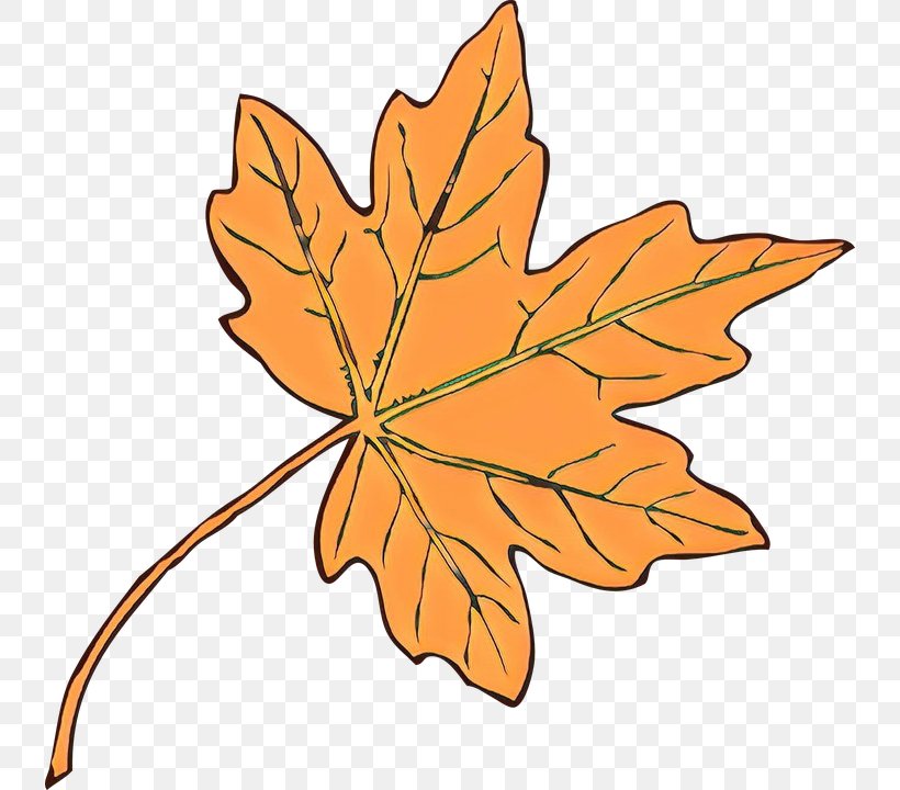 Maple Leaf, PNG, 738x720px, Cartoon, Black Maple, Flowering Plant, Leaf, Maple Leaf Download Free