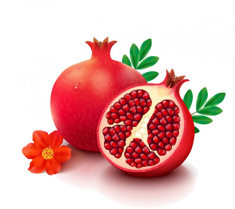 Fruit pomegranate set hand drawn realistic sketch Vector Image