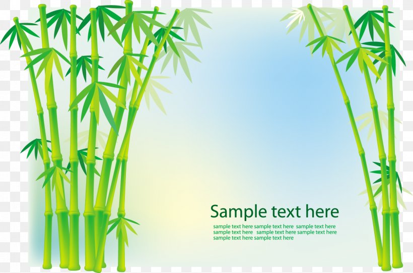 Vector Graphics Image Stock Photography Tropical Woody Bamboos, PNG, 1620x1070px, Stock Photography, Bamboo, Botany, Drawing, Elymus Repens Download Free