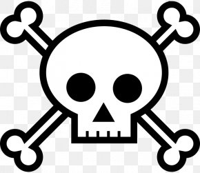 Skull And Crossbones Images Skull And Crossbones Transparent Png Free Download