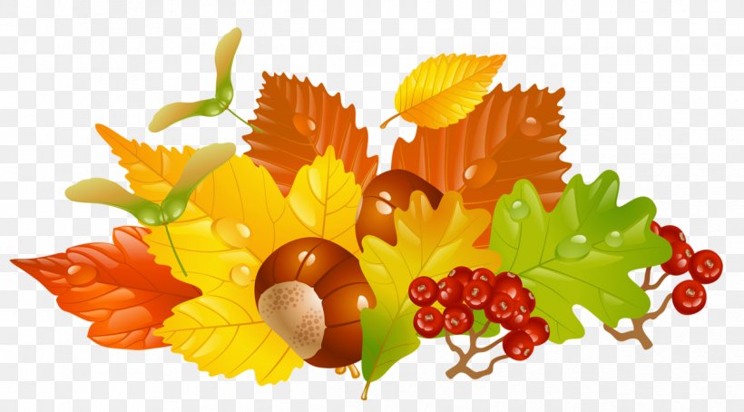 Autumn Leaf Color Clip Art, PNG, 1246x690px, Autumn, Acorn, Autumn Leaf Color, Floral Design, Flower Download Free