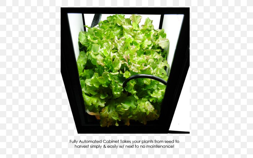 Grow Box Hydroponics Growroom Grow Light Light-emitting Diode, PNG, 512x512px, Grow Box, Cannabis, Cannabis Cultivation, Closet, Compact Fluorescent Lamp Download Free