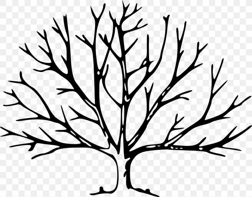 Tree Branch Oak Leaf Clip Art, PNG, 920x720px, Tree, Artwork, Black And White, Branch, Coloring Book Download Free