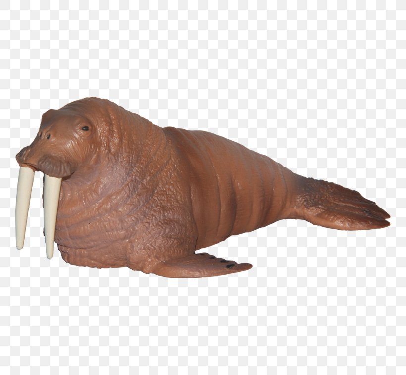 Walrus Sea Lion Toy Animal Maia & Borges Sealife Walross Seelöwe Handbemalt Seetiere, PNG, 759x759px, Walrus, Animal, Animal Figure, Aquatic Animal, Carnivore Download Free