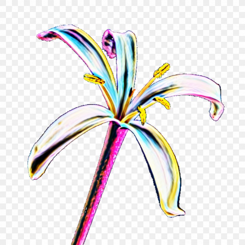 Cut Flowers Flowering Plant Plant Stem Body Jewellery Clip Art, PNG, 1600x1600px, Cut Flowers, Body Jewellery, Body Jewelry, Flower, Flowering Plant Download Free