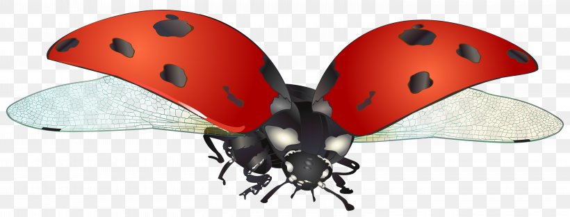 Ladybird Clip Art, PNG, 6000x2285px, Coccinella Septempunctata, Bicycle Clothing, Bicycle Helmet, Bicycle Helmets, Bicycles Equipment And Supplies Download Free