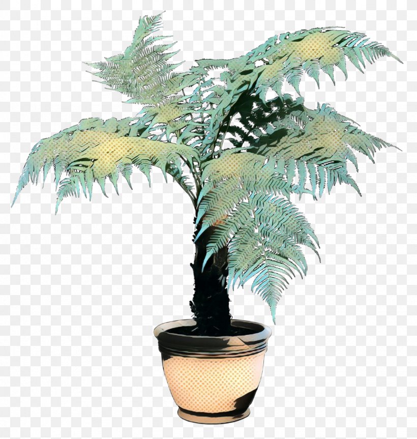 Plants Houseplant Vine Flowerpot, PNG, 1024x1078px, Plants, Arecales, Coconut, Date Palm, Elaeis Download Free