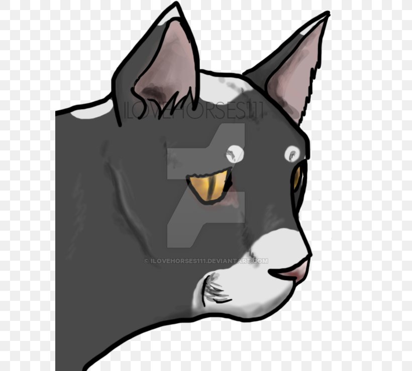 Whiskers Dog Cat Snout Clip Art, PNG, 600x740px, Whiskers, Black, Black M, Carnivoran, Cat Download Free