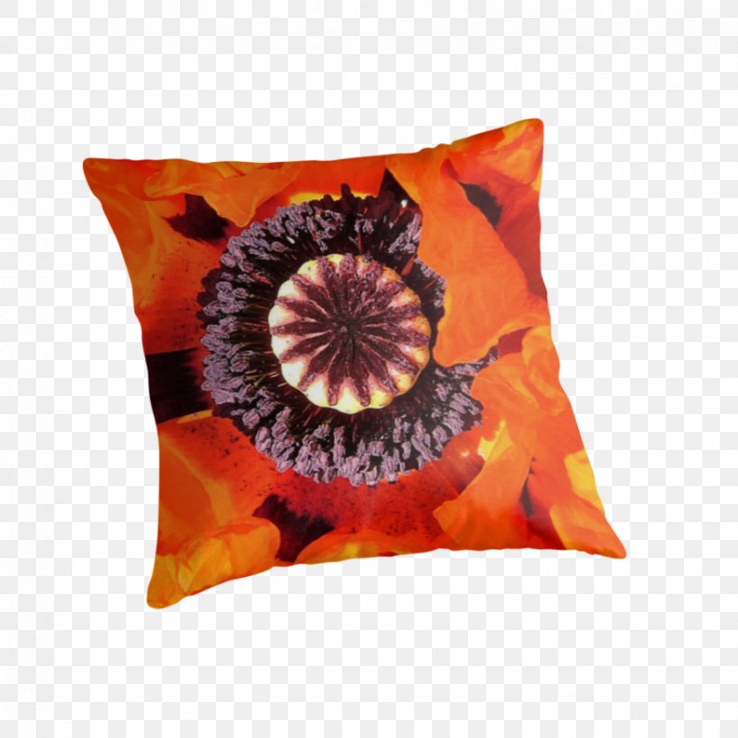 Cushion Throw Pillows Dye, PNG, 875x875px, Cushion, Dye, Flower, Flowering Plant, Orange Download Free