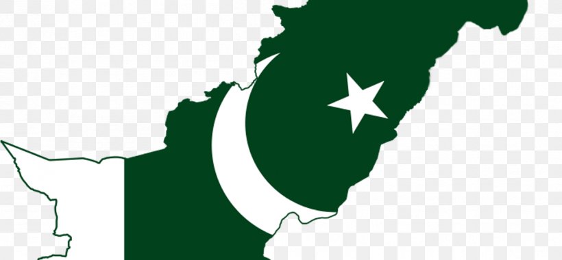 Flag Of Pakistan Map Pakistanis, PNG, 1249x580px, Pakistan, Flag, Flag Of Pakistan, Gallup Pakistan, Grass Download Free