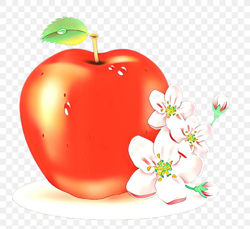 Apple Fruit Plant Food Malus, PNG, 800x751px, Apple, Food, Fruit, Malus, Plant Download Free