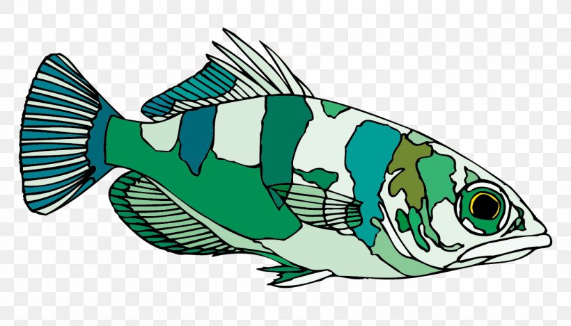 Archerfish Clip Art, PNG, 1344x769px, Fish, Animal, Aquatic Animal, Archerfish, Color Download Free