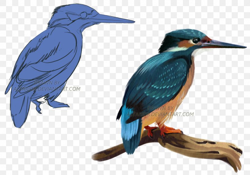Bird Belted Kingfisher Drawing Beak, PNG, 1280x899px, Bird, Beak, Belted Kingfisher, Color, Coraciiformes Download Free
