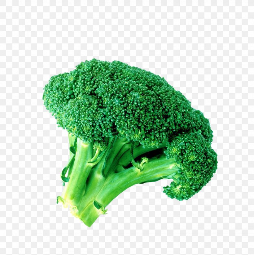 Broccoli Sulforaphane Vegetable, PNG, 1021x1024px, Broccoli, Brassica Oleracea, Broccoli Extract, Cabbage, Cauliflower Download Free