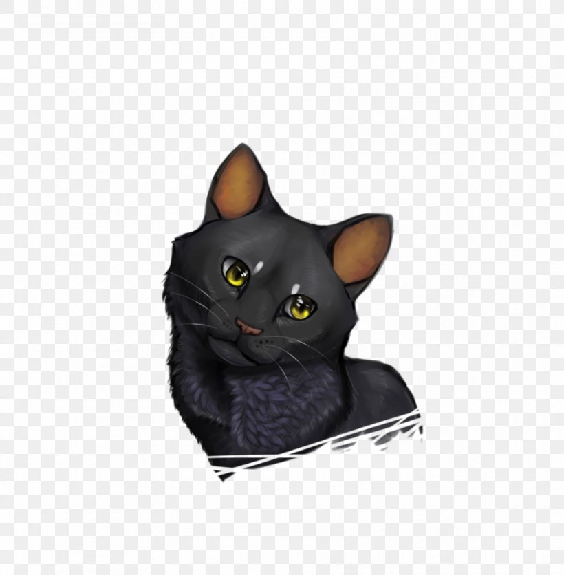 Korat Bombay Cat Domestic Short-haired Cat Whiskers Snout, PNG, 885x903px, Korat, Black Cat, Bombay, Bombay Cat, Burmese Download Free