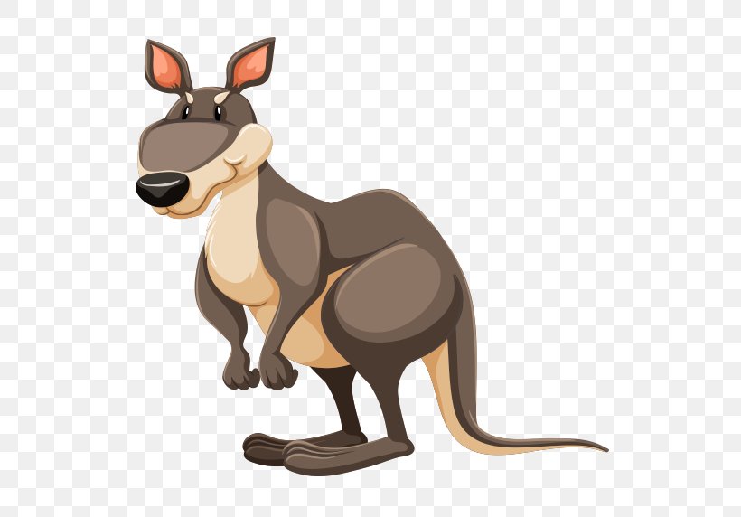 The Red Kangaroo, PNG, 550x572px, Red Kangaroo, Carnivoran, Dog Like Mammal, Kangaroo, Kangaroo Rat Download Free