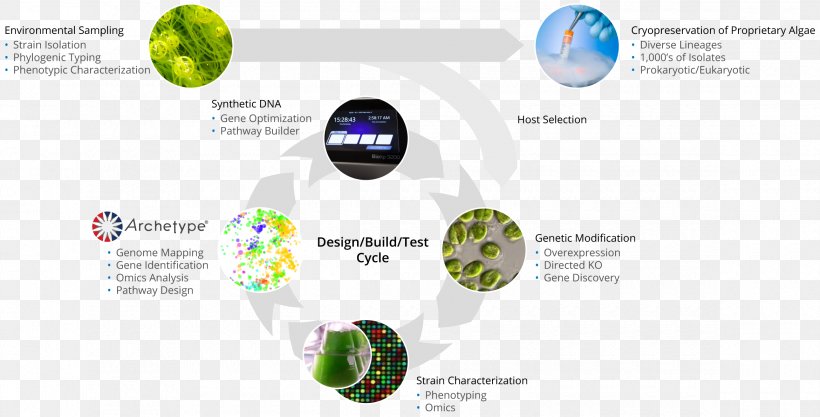 Algae Fuel ExxonMobil Synthetic Genomics Biofuel, PNG, 2340x1192px, Algae Fuel, Algae, Biofuel, Brand, Diagram Download Free