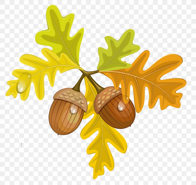 Clip Art Illustration Acorn Openclipart Free Content, PNG, 4110x3898px, Acorn, Art, Autumn, Autumn Leaf Color, Document Download Free