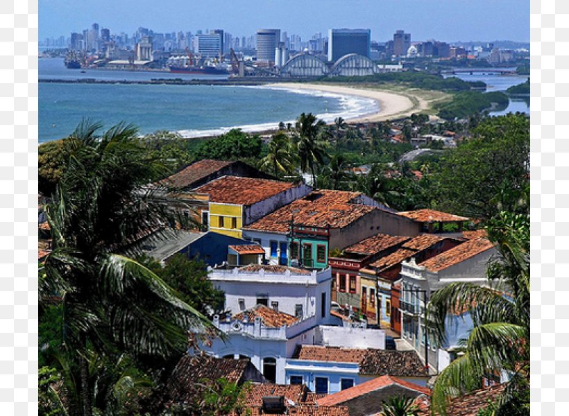 Recife João Pessoa, Paraíba Caruaru Petrolina Olinda Historic Center, PNG, 800x600px, Recife, Bay, Brazil, Caruaru, City Download Free