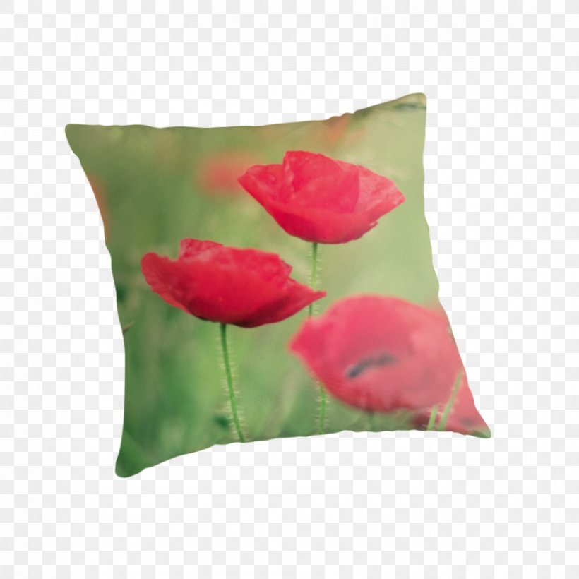 Throw Pillows Cushion Petal, PNG, 875x875px, Throw Pillows, Coquelicot, Cushion, Flower, Flowering Plant Download Free
