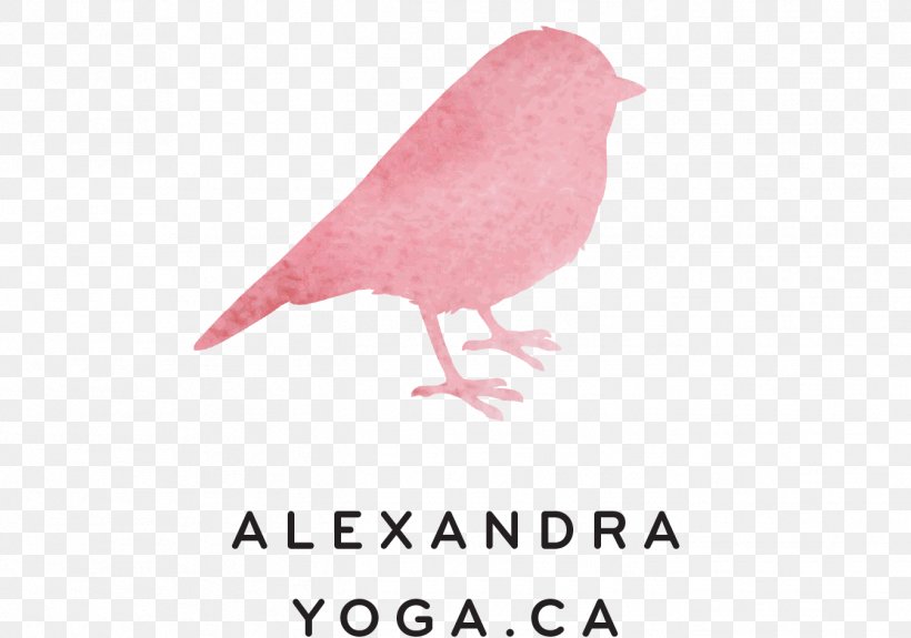 Alexandra Yoga Asana Vinyāsa Añjali Mudrā, PNG, 1346x945px, Yoga, Ahimsa, Asana, Beak, Bird Download Free