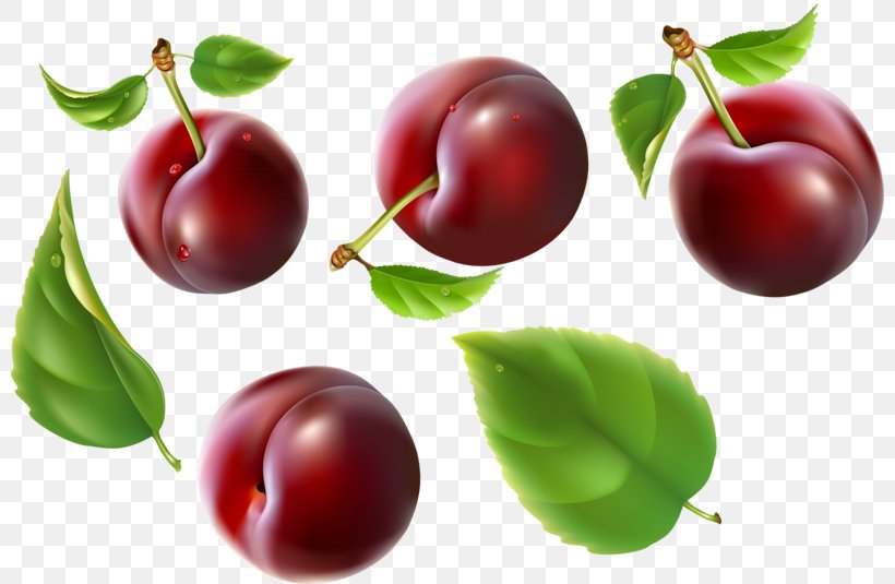 Cherries Barbados Cherry Watercolor Painting Fruit Image, PNG, 800x535px, Cherries, Accessory Fruit, Acerola, Acerola Family, Apple Download Free