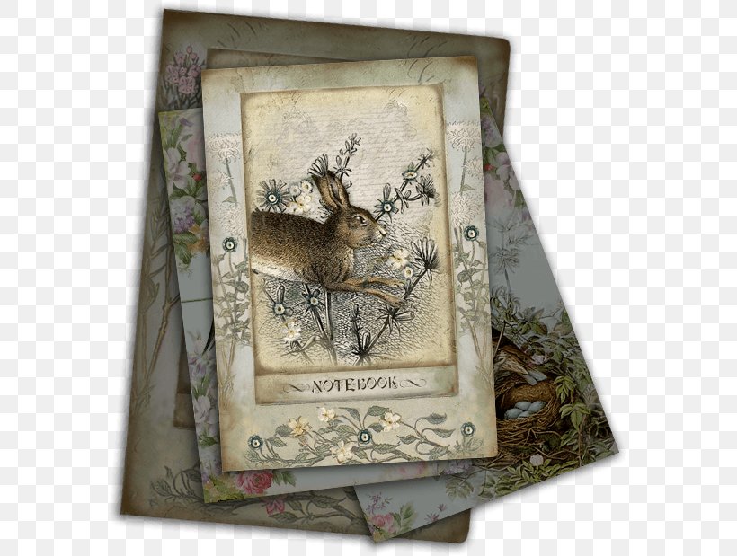Hare Picture Frames, PNG, 579x619px, Hare, Fauna, Picture Frame, Picture Frames Download Free