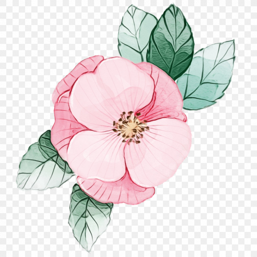 Rose, PNG, 1200x1200px, Watercolor Pink Flower, Floral, Flower, Paint, Petal Download Free