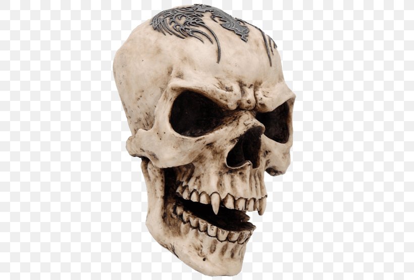 Human Skull Symbolism Human Skeleton Vampire, PNG, 555x555px, Skull, Bone, Drawing, Figurine, Halloween Download Free