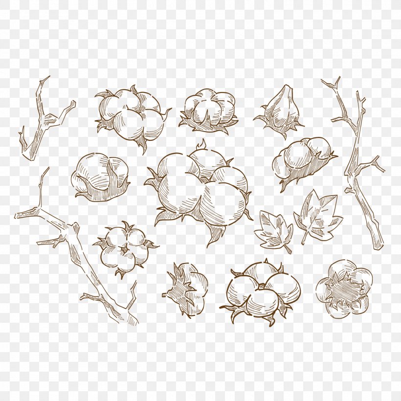 Vector Graphics Image Illustration Cotton Design, PNG, 1500x1500px, Cotton, Cartoon, Drawing, Flower, Line Art Download Free
