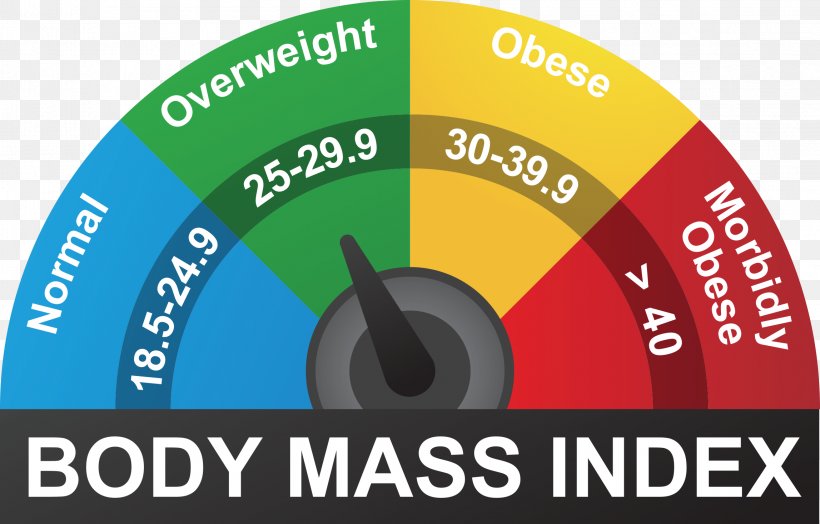 Body Mass Index Human Body Weight Adipose Tissue Stock Photography Weight And Height Percentile, PNG, 2295x1469px, Body Mass Index, Adipose Tissue, Brand, Can Stock Photo, Health Download Free