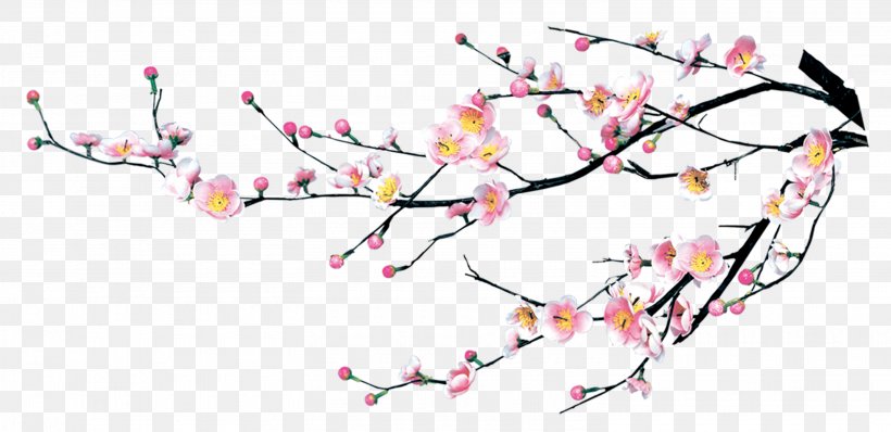 Cherry Blossom Plum Blossom, PNG, 3010x1464px, Cherry Blossom, Art, Beak, Bird, Blossom Download Free