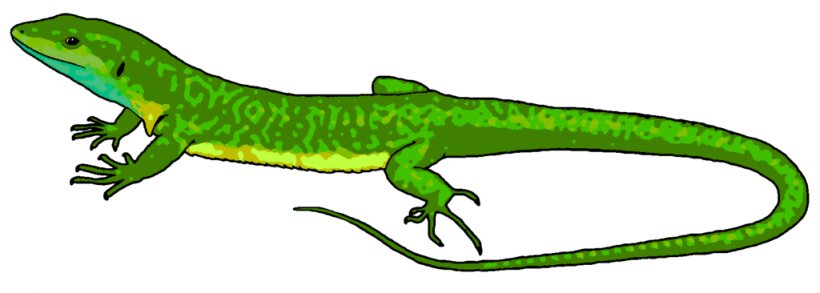 Lizard Chameleons Reptile Common Iguanas Clip Art, PNG, 1024x366px, Lizard, Amphibian, Animal Figure, Chameleons, Common Iguanas Download Free