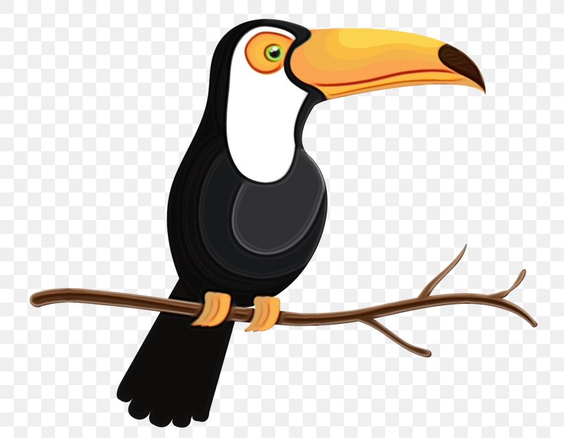 Toucan Bird Illustration Beak Clip Art, PNG, 750x637px, Toucan, Animal, Beak, Bird, Cartoon Download Free