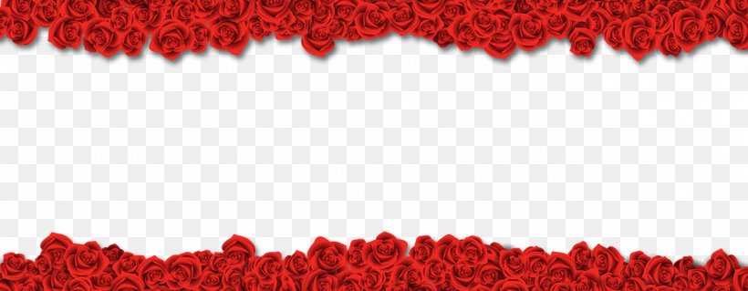 Beach Rose Download Flower, PNG, 1200x467px, Beach Rose, Flower, Heart, Petal, Red Download Free