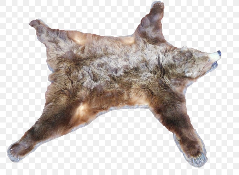 Bear Carpet Canidae Skin Blanket, PNG, 800x600px, Bear, Alaska Peninsula Brown Bear, Bed, Blanket, Canidae Download Free