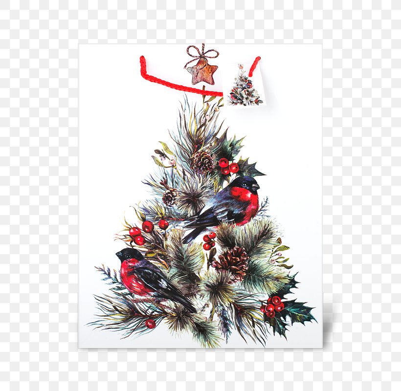 Christmas Tree Paper Fir Stock Photography, PNG, 800x800px, Christmas Tree, Christmas, Christmas Card, Christmas Decoration, Christmas Ornament Download Free