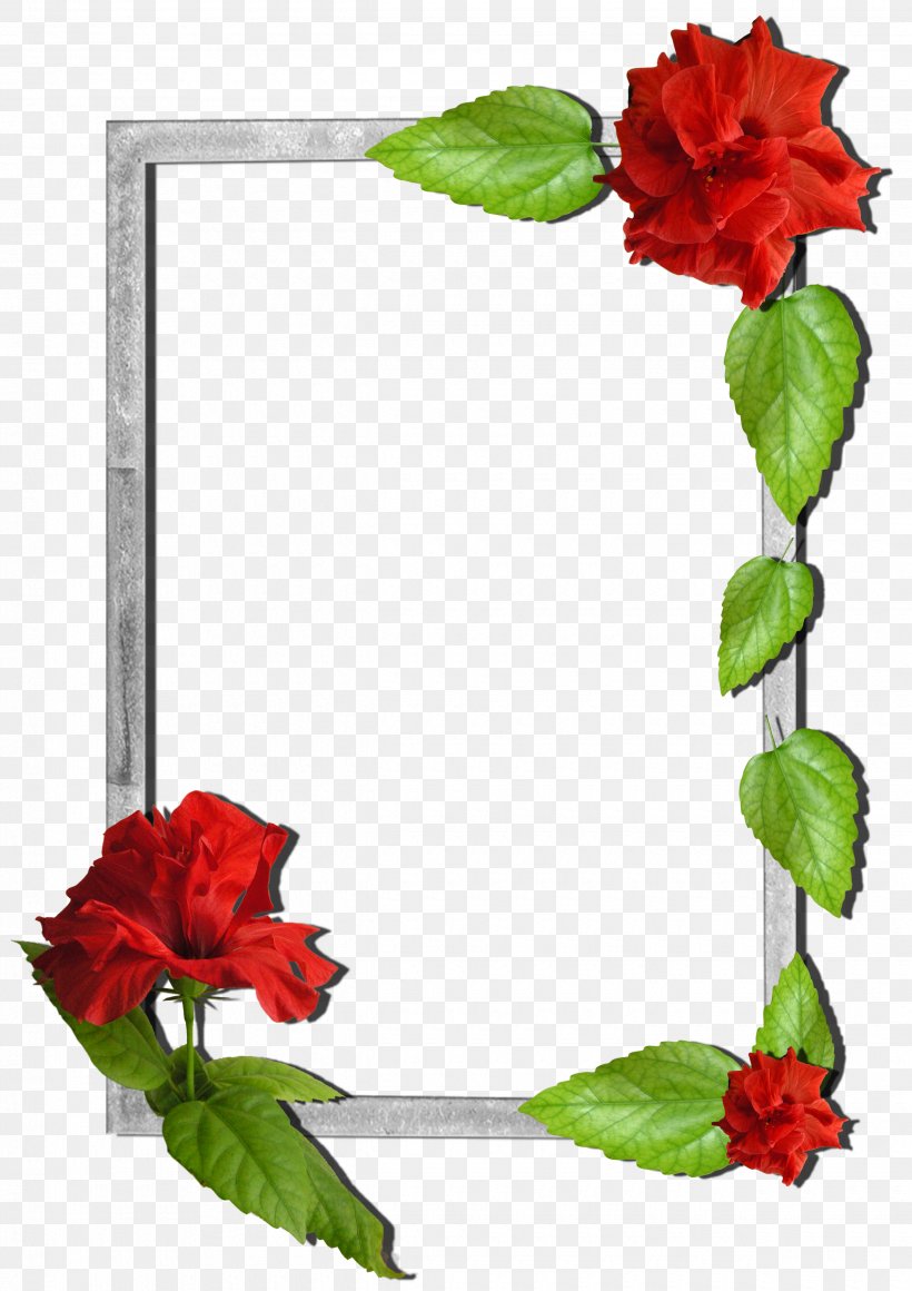 Picture Frames Love Photo Frames Flower, PNG, 2480x3510px, Picture Frames, Android, Animation, Film Frame, Flora Download Free
