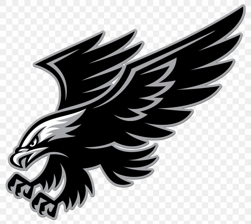 Richland County School District Two Middle School National Secondary School, PNG, 1450x1294px, Richland County School District Two, Bald Eagle, Beak, Bird, Bird Of Prey Download Free