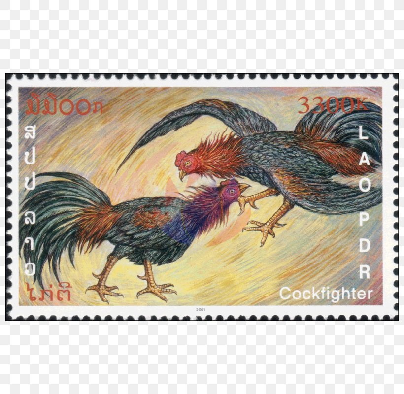 Rooster Fauna Beak Feather Chicken As Food, PNG, 800x800px, Rooster, Beak, Bird, Chicken, Chicken As Food Download Free
