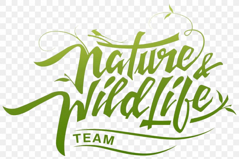 Avondae Technologies Pvt Ltd Nature Wildlife, PNG, 1280x855px, Nature, Area, Art, Artwork, Brand Download Free
