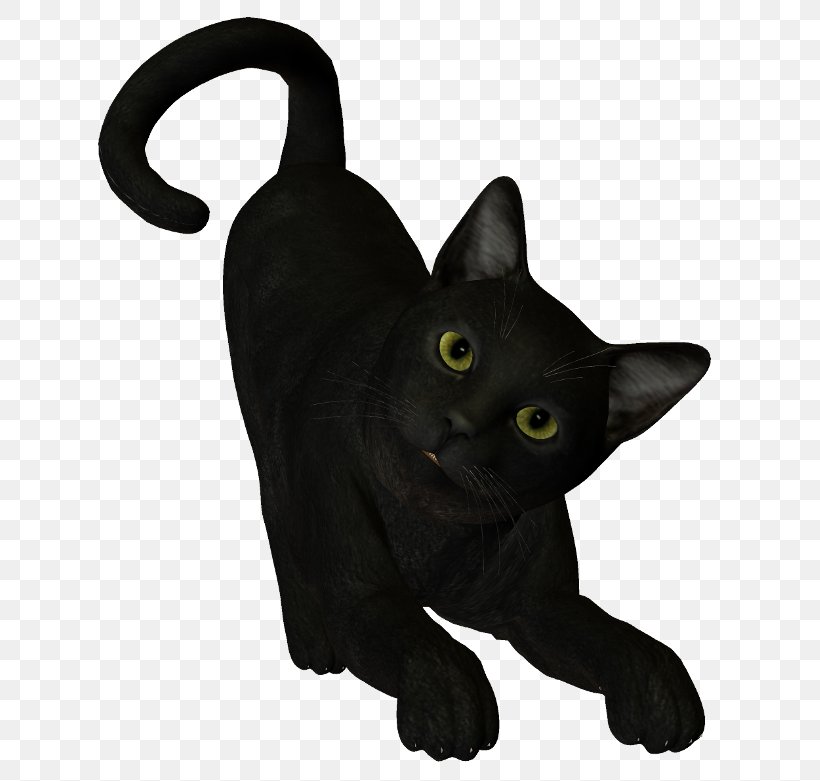 Black Cat Bombay Cat Korat Burmese Cat Whiskers, PNG, 650x781px, Black Cat, Asian, Bombay, Bombay Cat, Burmese Download Free