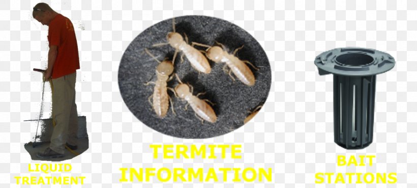 Eastern Subterranean Termite Reticulitermes, PNG, 1109x500px, Eastern Subterranean Termite, Hardware, Hardware Accessory, Reticulitermes Download Free