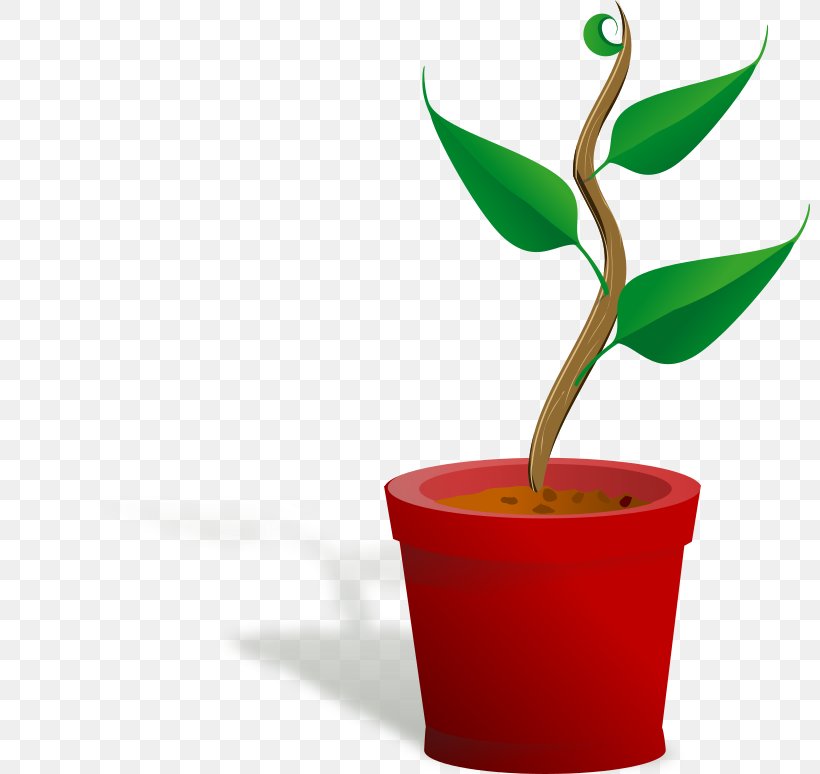 Plant Seed Clip Art, PNG, 800x774px, Plant, Cup, Flower, Flowerpot, Free Content Download Free