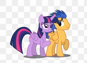 My Little Pony - Pony Twilight Sparkle Princess Celestia Flash Sentry Rainbow Dash PNG